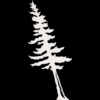 Paul Smith's College logo