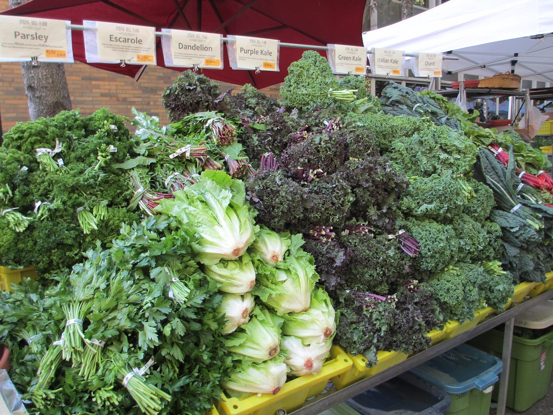 A farmers market stall piled high with parsley, escarole, kale and chard under a red umbrella